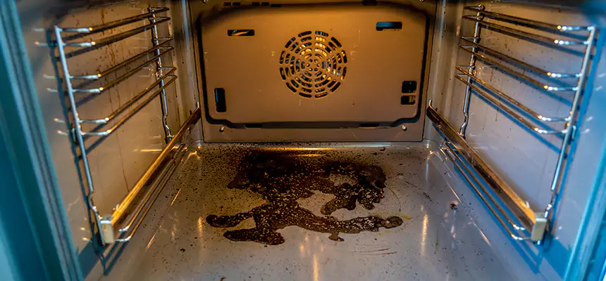 Our Dryer Vent Mold Cleaning Services in Rutland, VT