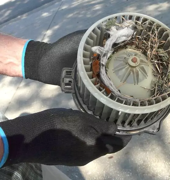 About Air Duct Mice Removal in Rutland, VT