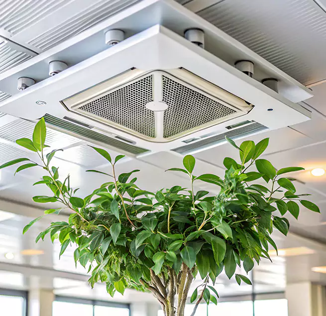 Why Homeowners & Businesses Trust Us in Rutland, VT?